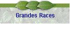 Grandes Races