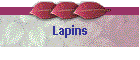 Lapins