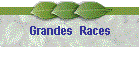 Grandes  Races