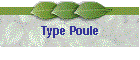 Type Poule