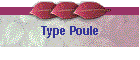 Type Poule